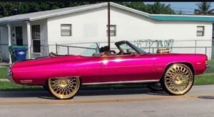 Donk Dynasty